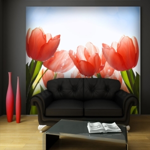 fototapeta-tulipany-do-salonu