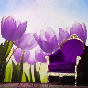 fototapeta-fioletowe-tulipany